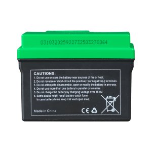 Аккумулятор FUBAG li-ion 3Ah для инверторного генератора TI 11000 A ES (арт. 646211) купить в Кургане